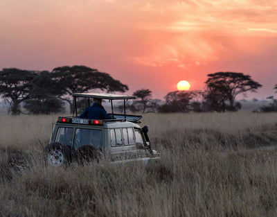 Ultimate Safari Packing Guide: What to Wear on Your Adventure