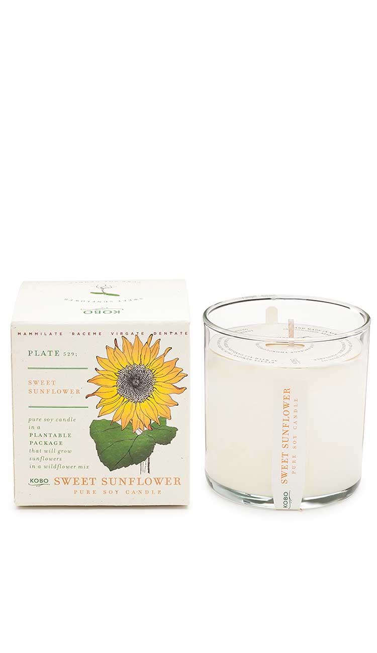 plant the box sweet sunflower candle - Paula & Chlo