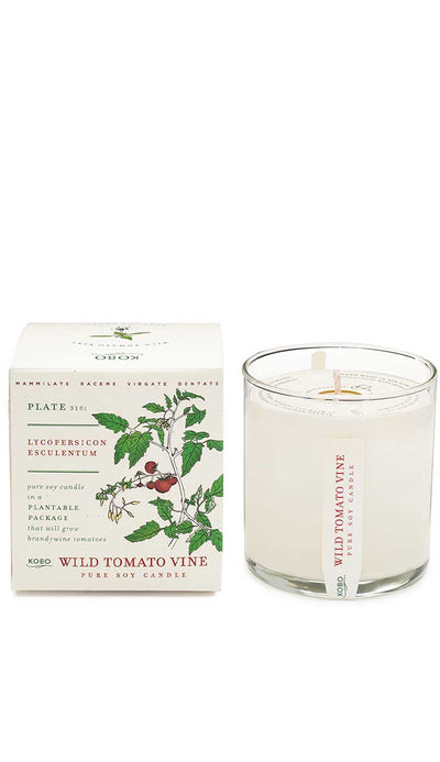Wild Tomato Vine Plant the Box Candle - Paula & Chlo
